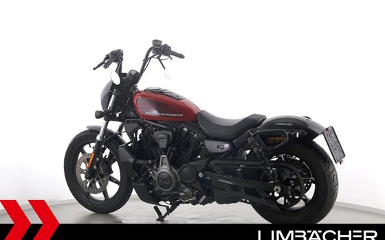 Gebrauchtmotorrad Harley-Davidson Nightster Special - Bild 6
