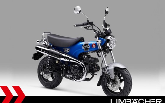 Neufahrzeug Honda Dax 125 - Bild 1