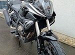 Angebot QJ Motor SRT 600 SX