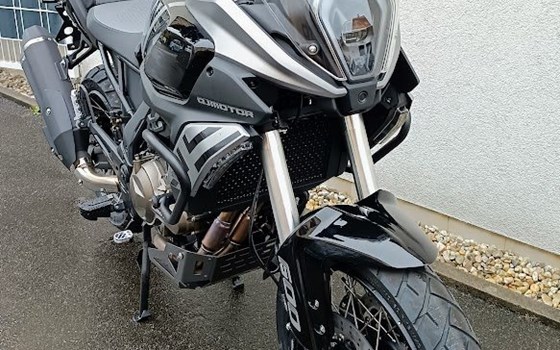 Neufahrzeug QJ Motor SRT 600 SX - Bild 2