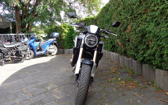 Gebrauchtmotorrad Honda CB650R - Bild 5