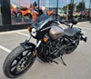 Indian Sport Scout