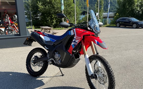 Neufahrzeug Honda CRF300 Rally - Bild 4 Neufahrzeug Honda CRF300 Rally - Bild 4