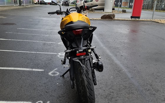 Neufahrzeug Triumph Tiger Sport 800 - Bild 5 Neufahrzeug Triumph Tiger Sport 800 - Bild 5