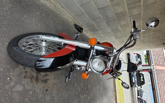 Gebrauchtmotorrad Honda VT 750 Shadow - Bild 2