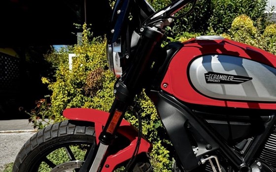 Gebrauchtmotorrad Ducati Scrambler Icon - Bild 3 Gebrauchtmotorrad Ducati Scrambler Icon - Bild 3