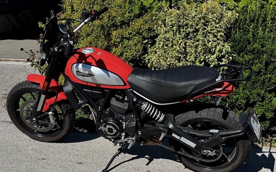 Gebrauchtmotorrad Ducati Scrambler Icon - Bild 4 Gebrauchtmotorrad Ducati Scrambler Icon - Bild 4