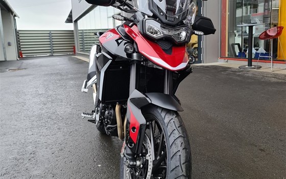 Neufahrzeug Triumph Tiger 900 GT Pro - Bild 10 Neufahrzeug Triumph Tiger 900 GT Pro - Bild 10