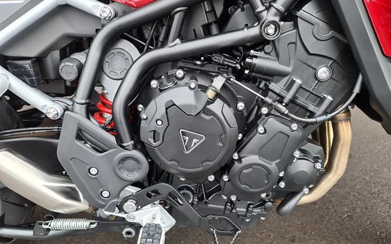 Neufahrzeug Triumph Tiger 900 GT Pro - Bild 21 Neufahrzeug Triumph Tiger 900 GT Pro - Bild 21