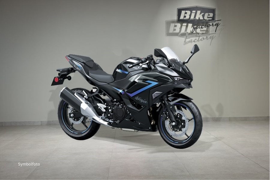 Kawasaki Ninja 500 SE