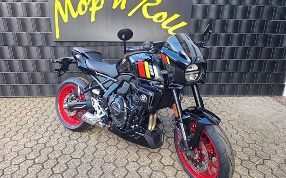 Neufahrzeug Suzuki GSX-8TT - Bild 5