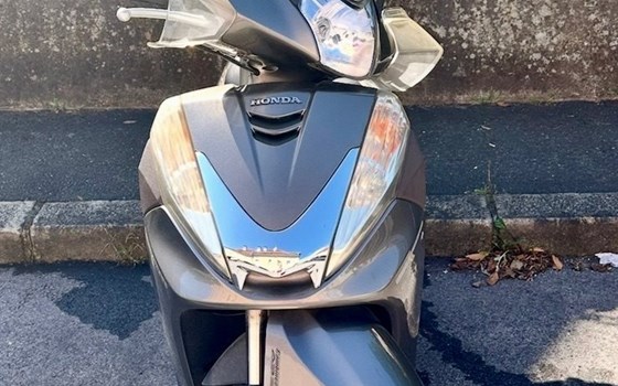 Gebrauchtmotorrad Honda SH300i - Bild 3