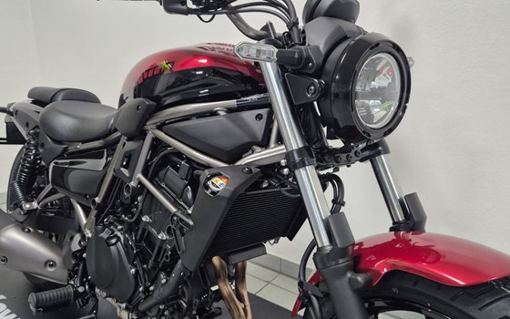 Neufahrzeug Kawasaki Eliminator 500 - Bild 5