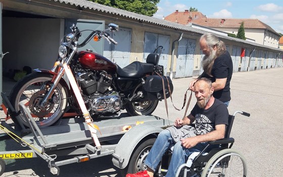 Gebrauchtmotorrad Harley-Davidson Sportster XL 1200 L Low - Bild 2