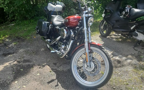 Gebrauchtmotorrad Harley-Davidson Sportster XL 1200 L Low - Bild 5