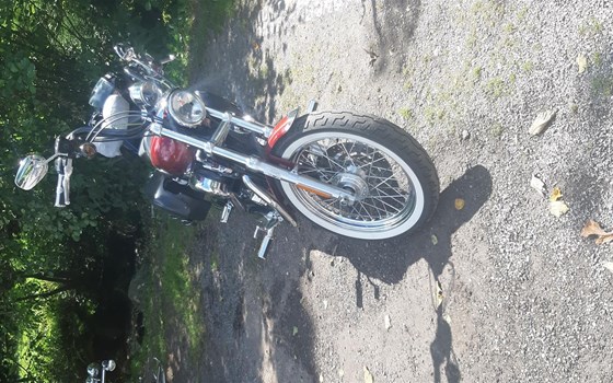 Gebrauchtmotorrad Harley-Davidson Sportster XL 1200 L Low - Bild 6