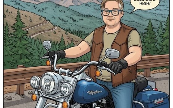 Gebrauchtmotorrad BMW R 1200 GS - Bild 3