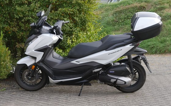 Gebrauchtmotorrad Honda Forza 125 - Bild 6