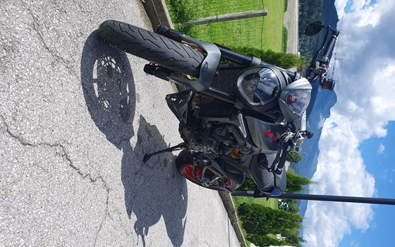 Gebrauchtmotorrad Ducati Monster + - Bild 3 Gebrauchtmotorrad Ducati Monster + - Bild 3