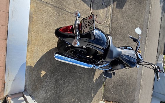 Motorrad Occasion Yamaha XVS 1300 A - Bild 19