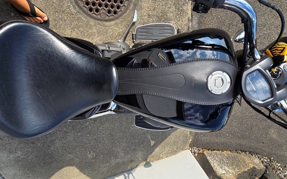 Motorrad Occasion Yamaha XVS 1300 A - Bild 22