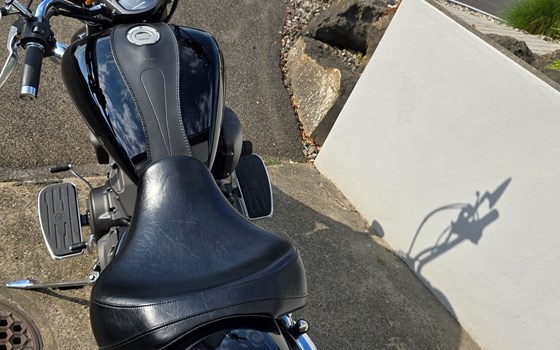 Motorrad Occasion Yamaha XVS 1300 A - Bild 27