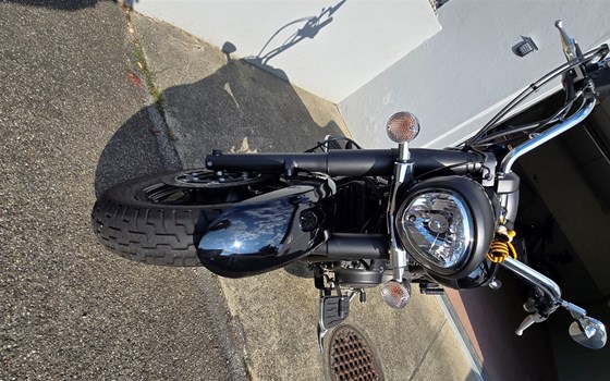 Motorrad Occasion Yamaha XVS 1300 A - Bild 4