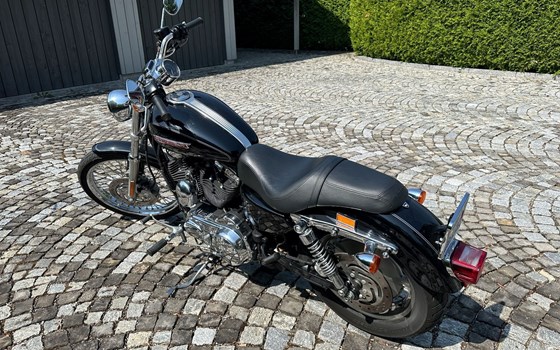 Motorrad Occasion Harley-Davidson Sportster XL 1200C Custom - Bild 3