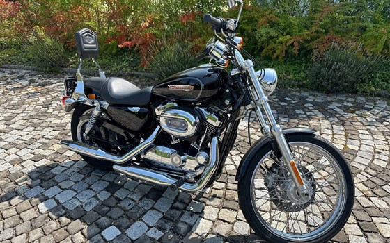 Motorrad Occasion Harley-Davidson Sportster XL 1200C Custom - Bild 5