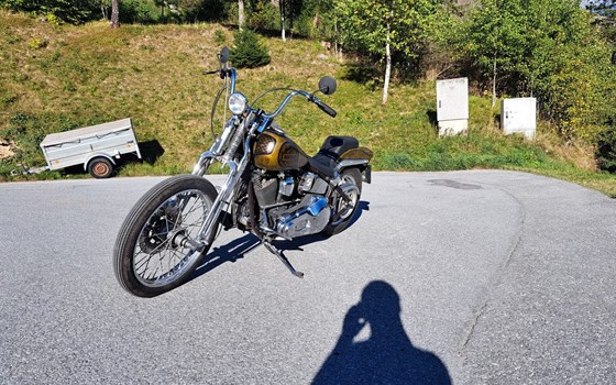 Gebrauchtmotorrad Harley-Davidson Softail Custom FXSTC - Bild 1 Gebrauchtmotorrad Harley-Davidson Softail Custom FXSTC - Bild 1