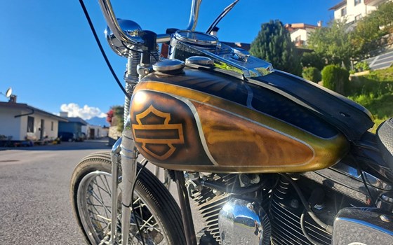 Gebrauchtmotorrad Harley-Davidson Softail Custom FXSTC - Bild 2 Gebrauchtmotorrad Harley-Davidson Softail Custom FXSTC - Bild 2