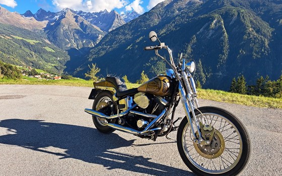 Gebrauchtmotorrad Harley-Davidson Softail Custom FXSTC - Bild 3 Gebrauchtmotorrad Harley-Davidson Softail Custom FXSTC - Bild 3