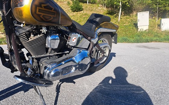 Gebrauchtmotorrad Harley-Davidson Softail Custom FXSTC - Bild 4 Gebrauchtmotorrad Harley-Davidson Softail Custom FXSTC - Bild 4