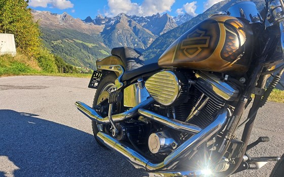 Gebrauchtmotorrad Harley-Davidson Softail Custom FXSTC - Bild 6 Gebrauchtmotorrad Harley-Davidson Softail Custom FXSTC - Bild 6