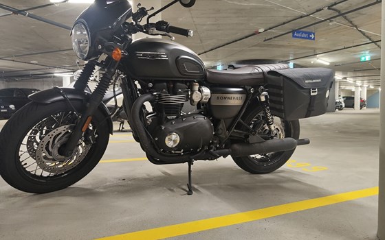 Motorrad Occasion Triumph Bonneville T120 Black Gold Line - Bild 1