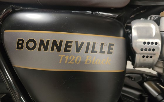 Offerta Triumph Bonneville T120 Black Gold Line - Immagine 6