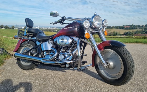 Gebrauchtmotorrad Harley-Davidson Fat Boy FLSTFI - Bild 1 Gebrauchtmotorrad Harley-Davidson Fat Boy FLSTFI - Bild 1