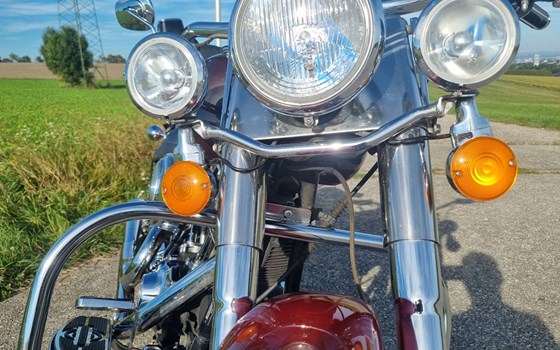 Gebrauchtmotorrad Harley-Davidson Fat Boy FLSTFI - Bild 15 Gebrauchtmotorrad Harley-Davidson Fat Boy FLSTFI - Bild 15