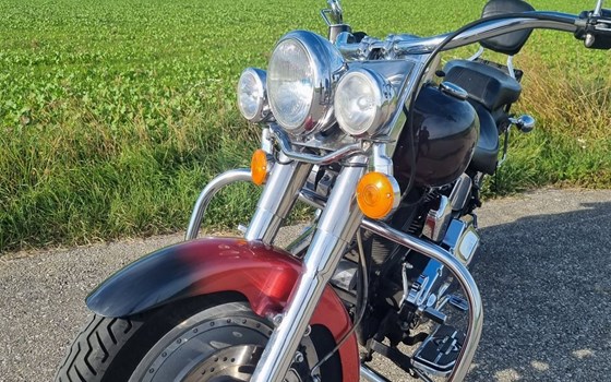 Gebrauchtmotorrad Harley-Davidson Fat Boy FLSTFI - Bild 2 Gebrauchtmotorrad Harley-Davidson Fat Boy FLSTFI - Bild 2