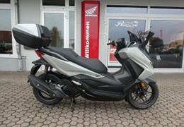 Neumotorrad Honda Forza 125