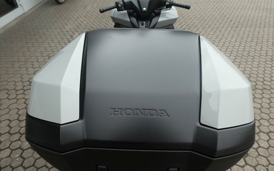 Neufahrzeug Honda Forza 125 - Bild 10