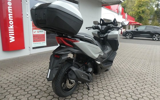 Neufahrzeug Honda Forza 125 - Bild 9