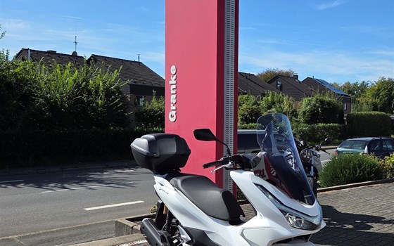 Gebrauchtmotorrad Honda PCX125 DX - Bild 7