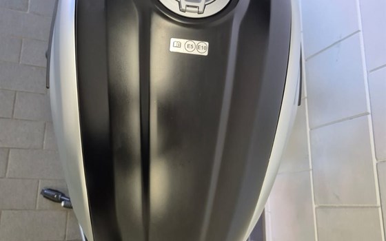 Gebrauchtmotorrad Ducati Scrambler 1100 Dark PRO - Bild 3