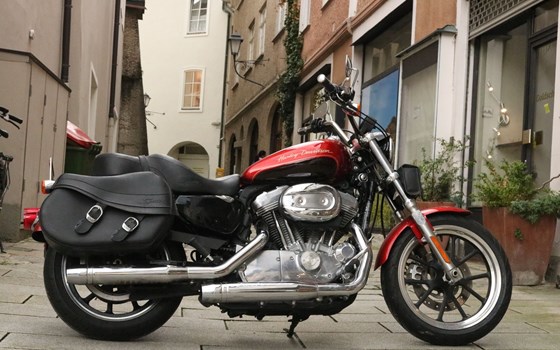 Gebrauchtmotorrad Harley-Davidson Sportster XL 883 C Custom - Bild 2