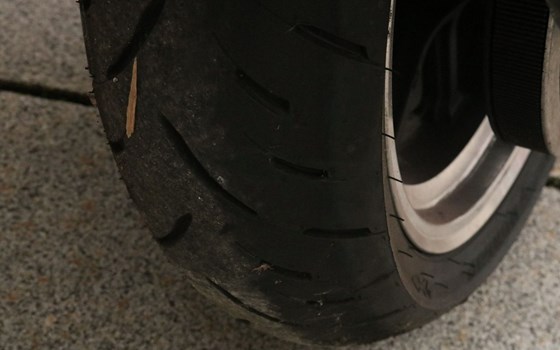 Gebrauchtmotorrad Harley-Davidson Sportster XL 883 C Custom - Bild 5