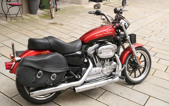 Gebrauchtmotorrad Harley-Davidson Sportster XL 883 C Custom - Bild 9