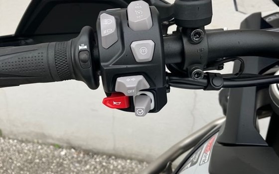 Gebrauchtmotorrad Triumph Tiger 900 GT Pro - Bild 14 Gebrauchtmotorrad Triumph Tiger 900 GT Pro - Bild 14