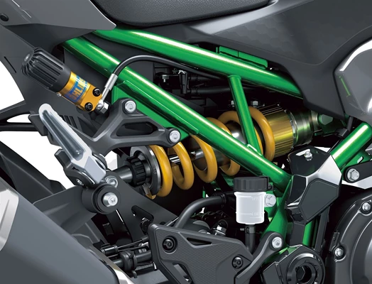 Kawasaki Z900 SE (GY2 Grau) - Bild 5