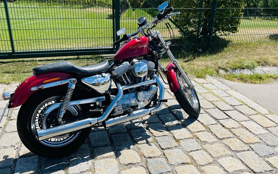 Gebrauchtmotorrad Harley-Davidson Sportster XLH 883 - Bild 2